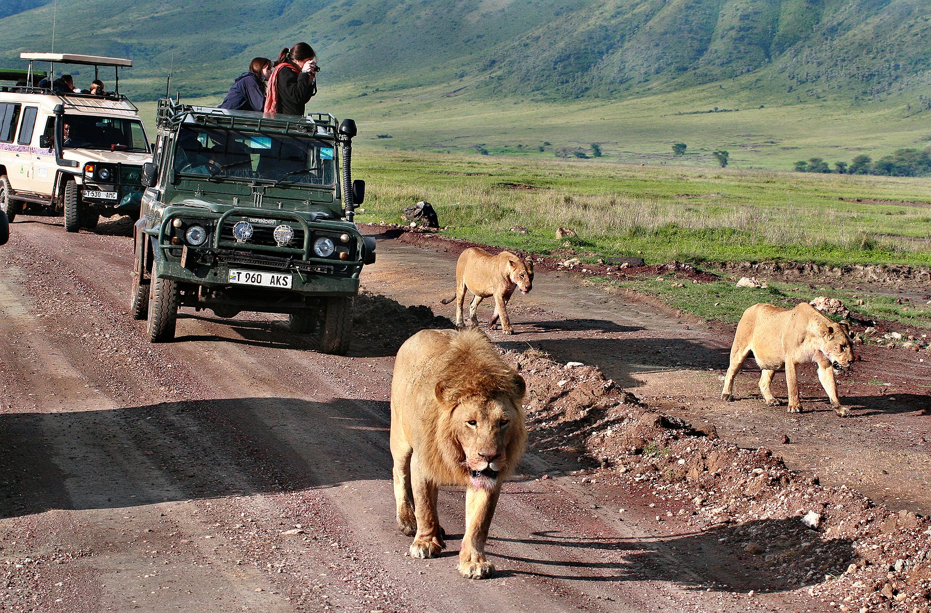 African Safari Vacations &mdash; Africa
